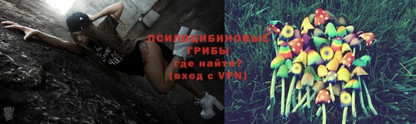 герыч Козловка