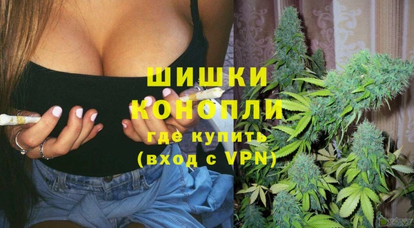 гашик Одинцово