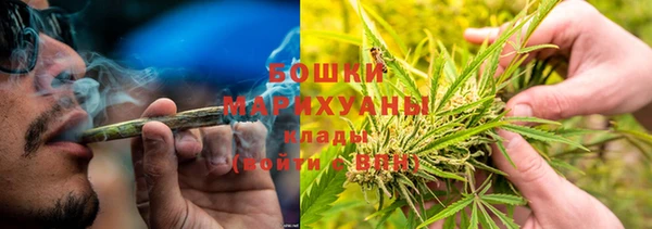 прущие грибы Краснослободск