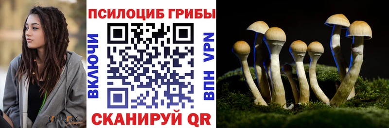 Псилоцибиновые грибы ЛСД  Карабулак 