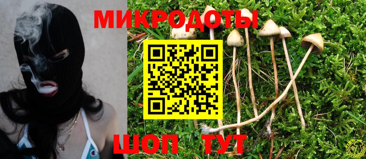 Галлюциногенные грибы Psilocybe  купить наркотики цена  Вход с VPN  Карабулак  Галлюциногенные грибы прущие грибы 